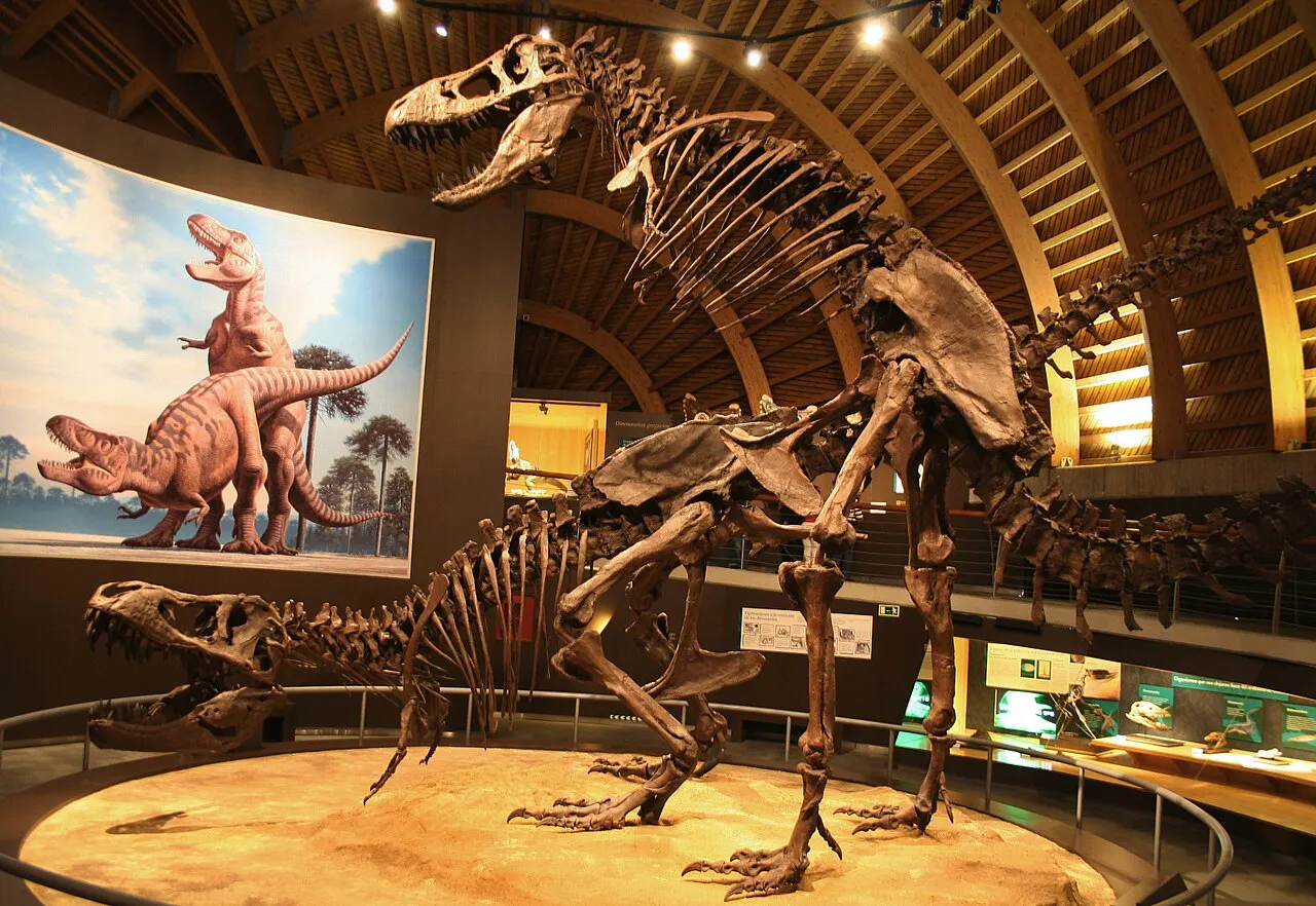 La conception d'expositions modernes intègre des technologies innovantes pour enrichir l'expérience muséale