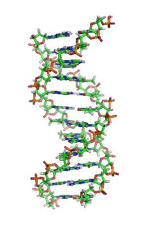 Le calcul ADN et la biologie moléculaire ouvrent de nouvelles perspectives pour l'informatique de demain