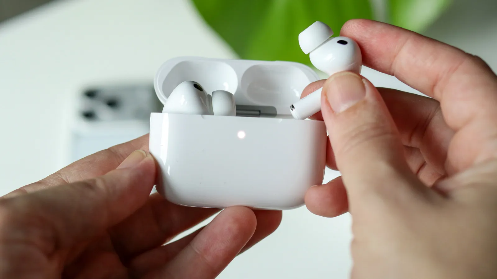 Apple