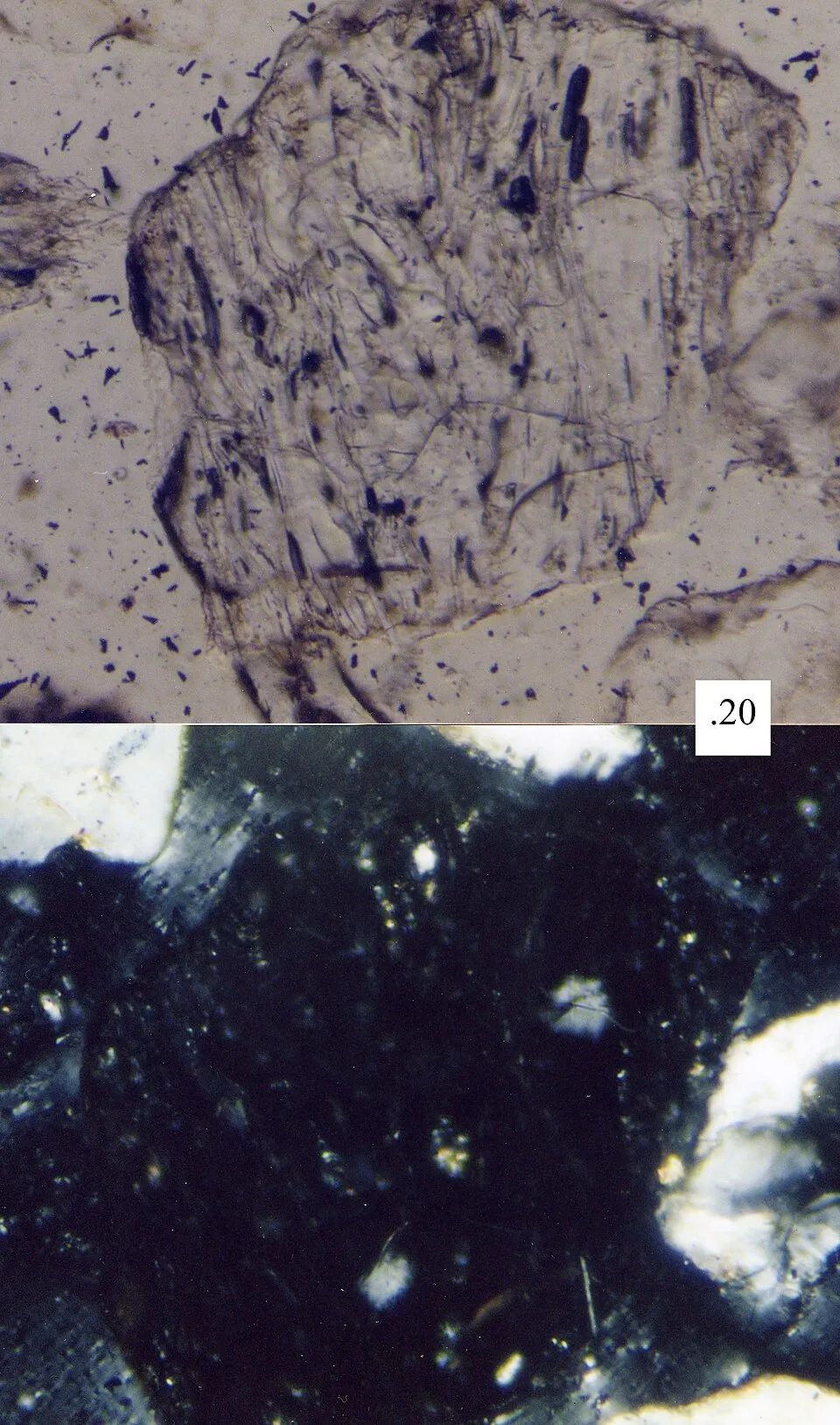 Le verre volcanique nait du refroidissement rapide du magma pour former des structures amorphes uniques